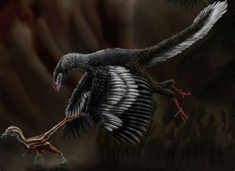 Did Dinosaurs Have Feathers or Scales? | Owlcation