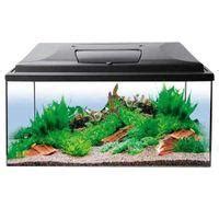 Tropical Fish Tank | Marine Fish Tanks & Aquariums | Jollyes