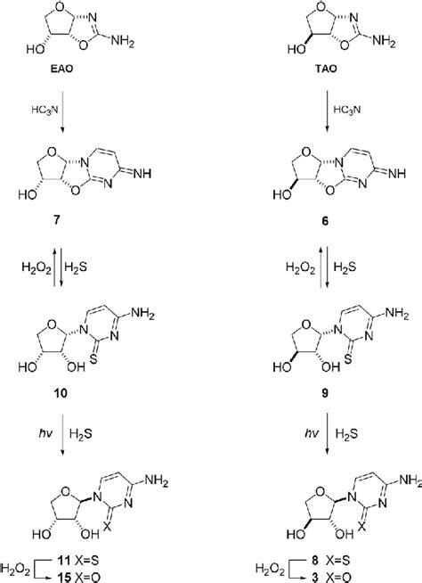 Synthesis of tetrose nucleosides by photochemical anomerization.... | Download Scientific Diagram