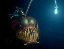 *ANGLERFISH~Finding Nemo, 2003...the anglerfish entices Marlin and Dory in a dark chasm with her ...