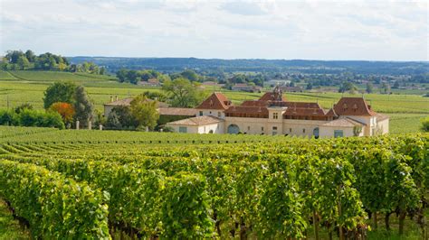 Saint-Émilion chateau owners ‘fixed best wine ratings’ | World | The Times