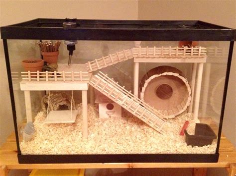 Hamster Cage - DIY aquarium conversion Hamster Live, Bear Hamster, Hamster Toys, Guinea Pig Toys ...