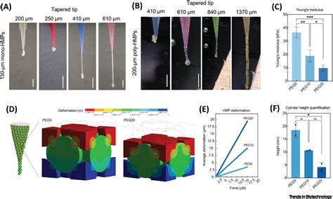 Emerging granular hydrogel bioinks to improve biological function in bioprinted constructs ...