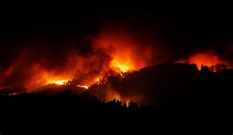 Raging forest fire in central Portugal kills at least 62 people - CBS News