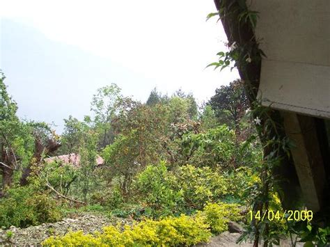 Kaluk Pictures - Traveler Photos of Kaluk, West Sikkim - Tripadvisor