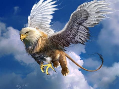 Update 82+ griffin wallpaper latest - 3tdesign.edu.vn