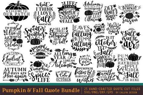 Pumpkin & Fall Quote SVG Cut File Bundle (120478) | SVGs | Design Bundles