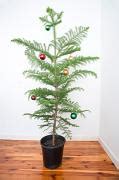 Photo of tree decorations | Free christmas images