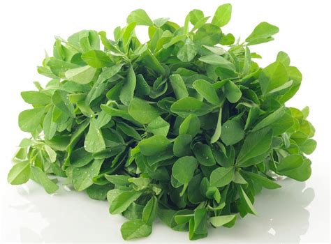 Methi