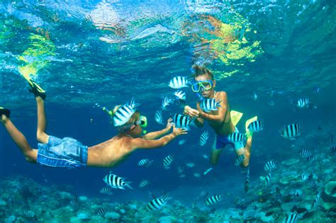 Diving and snorkelling in Fiji - Lonely Planet