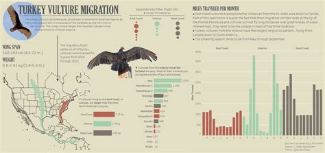 Week 4: Migration of Turkey Vultures in North and South America | Makeover Monday