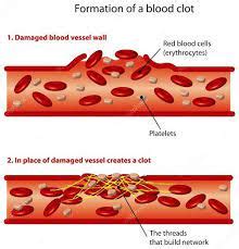 9 Important Function of the Platelets - CBSE Class Notes Online - Classnotes123