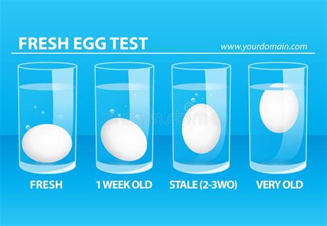 Fresh Egg Test stock illustration. Illustration of glass - 45314349