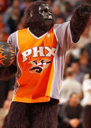 Phoenix Suns Gorilla Mascot | Phoenix suns, Basketball highlights, I ...