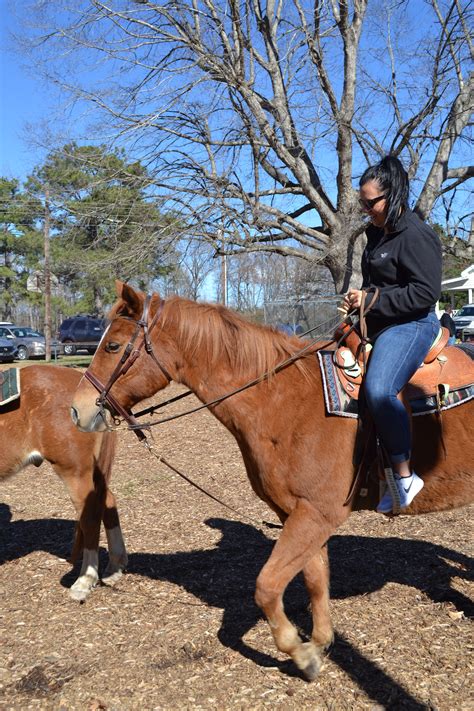 horseback riding | C&C Farm Trail Rides, Lessons & Horse Boarding