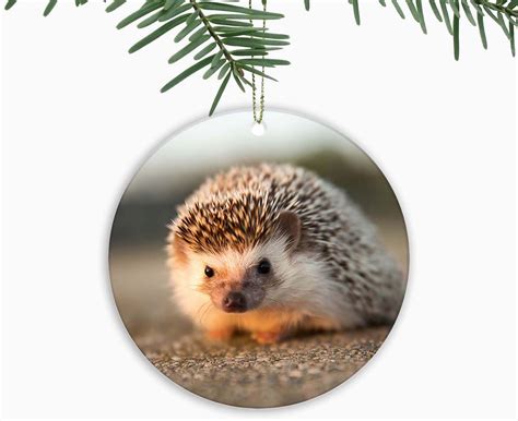 Amazon.com: Hedgehog Ornament,Christmas Ornament Xmas Tree Ornaments ...