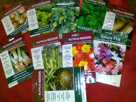 Sophia's Product Reviews: Kings Seeds