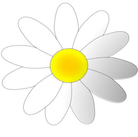 Free Daisy Flower Cliparts, Download Free Daisy Flower Cliparts png ...