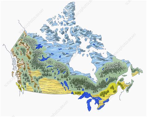 Vegetation zones on map of Canada, illustration - Stock Image - C051 ...