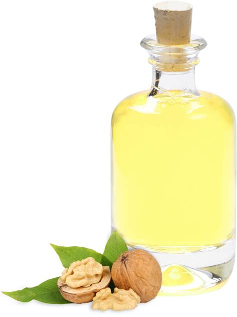 Bulk Refined Walnut Oil - Caloy - Quality Nut Oils