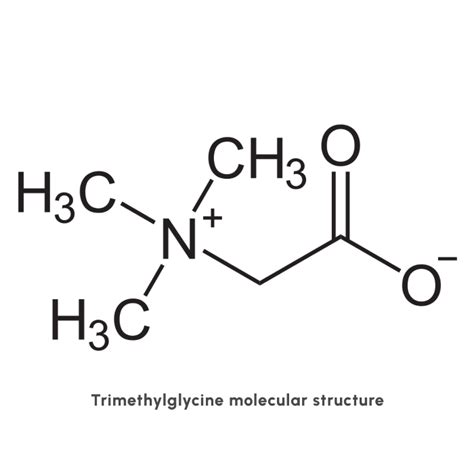 Science – TMG - partiQlar