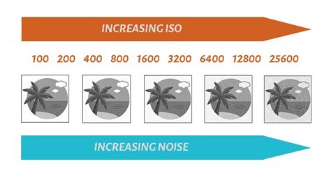 ISO Chart (Image Noise Chart) & How to Use It? - PhotographyAxis