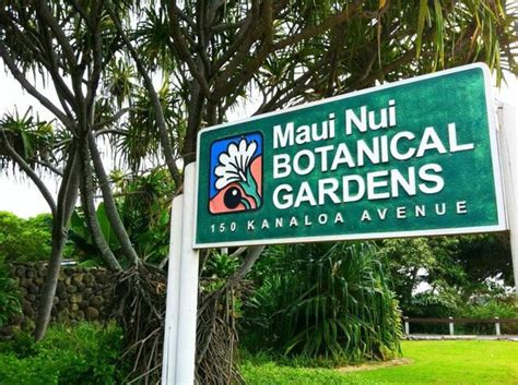 Maui Nui Botanical Gardens (Kahului) - 2021 All You Need to Know BEFORE You Go (with Photos ...