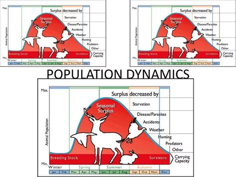 Peak Human Population Dynamics Ppt Background For Kids - PELAJARAN