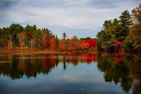 Free Images : landscape, tree, water, nature, forest, sky, morning ...