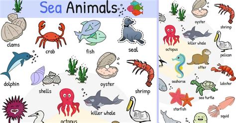 Sea animals are animals that live in the salt water of the sea or ocean. Sea Animal Names in ...