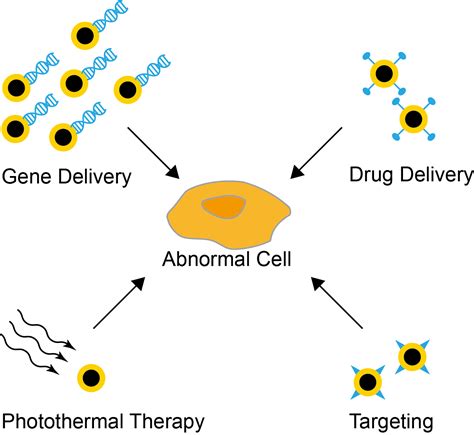 Properties and Applications of Gold Nanoshells - CD Bioparticles