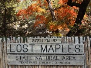 Lost Maples State Park - A camping trip to experience the fall colors ...