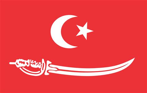 Flag of the Sultanate of Aceh (1496-1903). Indonesian Flag, Semitic ...