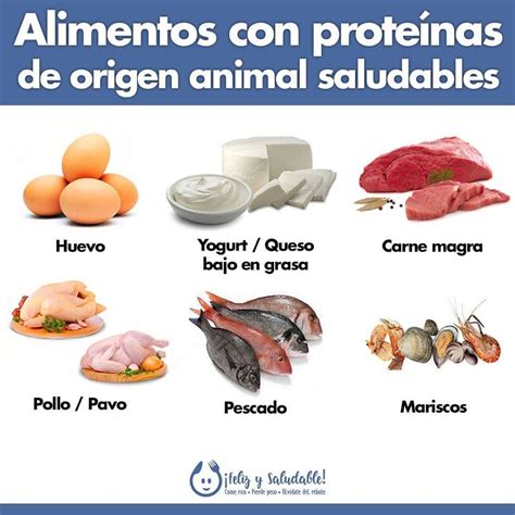 Alimentos altos en Proteínas | Alimentos altos en proteínas, Alimentos ...