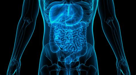 Gastroenterology | Digestive Disease & Surgery| Cleveland Clinic London