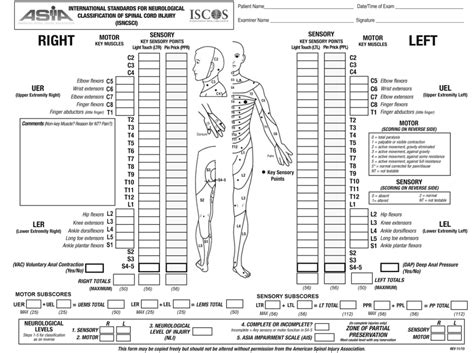 Pathology in Athletes | Musculoskeletal Key