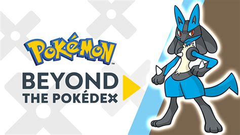 Learn All about Lucario in a New Episode of Beyond the Pokédex ...