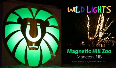 Wild Lights at the Magnetic Hill Zoo