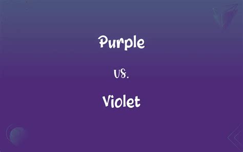 Purple vs. Violet: What’s the Difference?