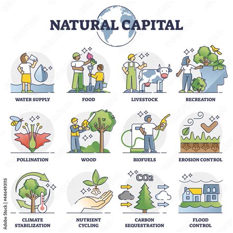 Capital Resources Images