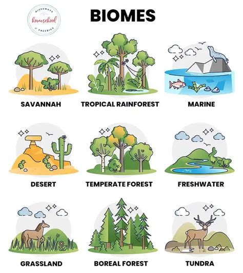 Learning About Types of Biomes and What Lives There