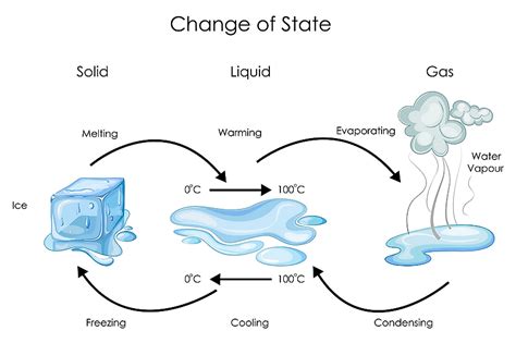 States Of Water Diagram