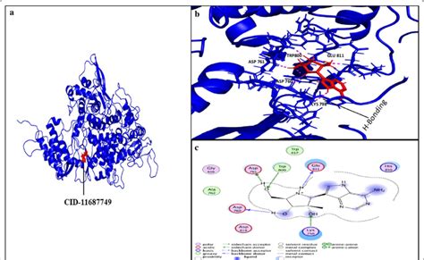 Ligand interaction with conserved amino acid residues of RdRp. a... | Download Scientific Diagram