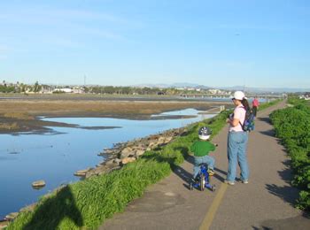 San Diego River, River Cleanup, Restore Habitat, San Diego River Park ...