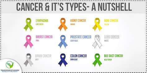 Cancer and its 5 Different Types in A Nutshell | Cancer