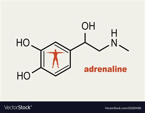 Formula hormone adrenaline Royalty Free Vector Image