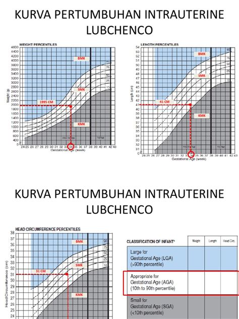 Kurva Pertumbuhan Intrauterine Lubchenco | PDF