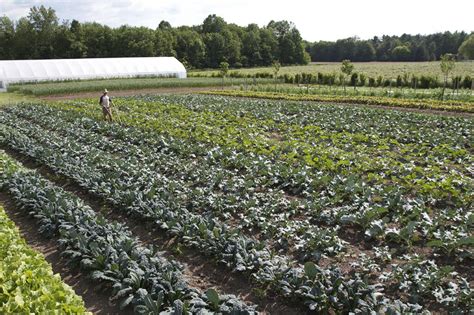 Market Gardening: 1.5 Acre Farming For Profit