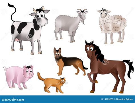 Domestic animals stock vector. Illustration of goat, herbivorous - 18105265