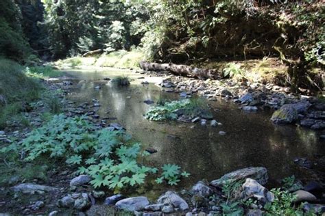 Portola Redwoods SP: Tiptoe Falls - stg.littlegrunts.com